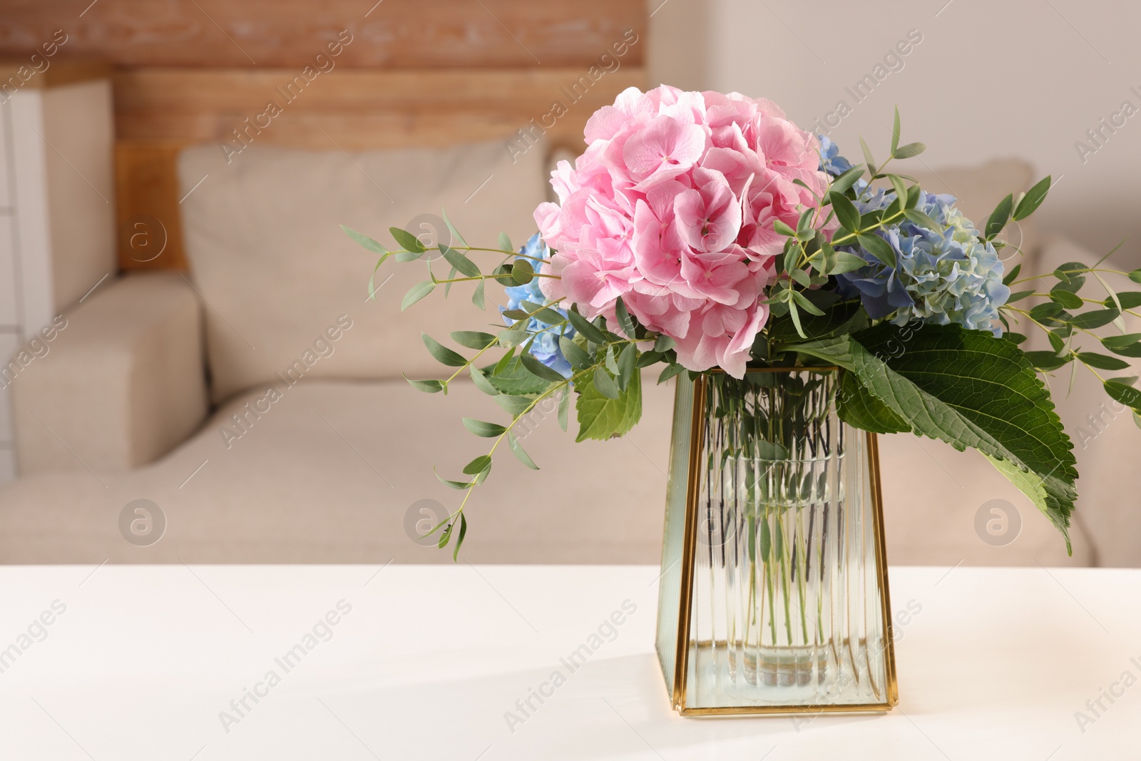 Beautiful hortensia flowers in vase on white table indoors. Space for text Photo of Beautiful hortensia flowers in vase on white table indoors. Space for text