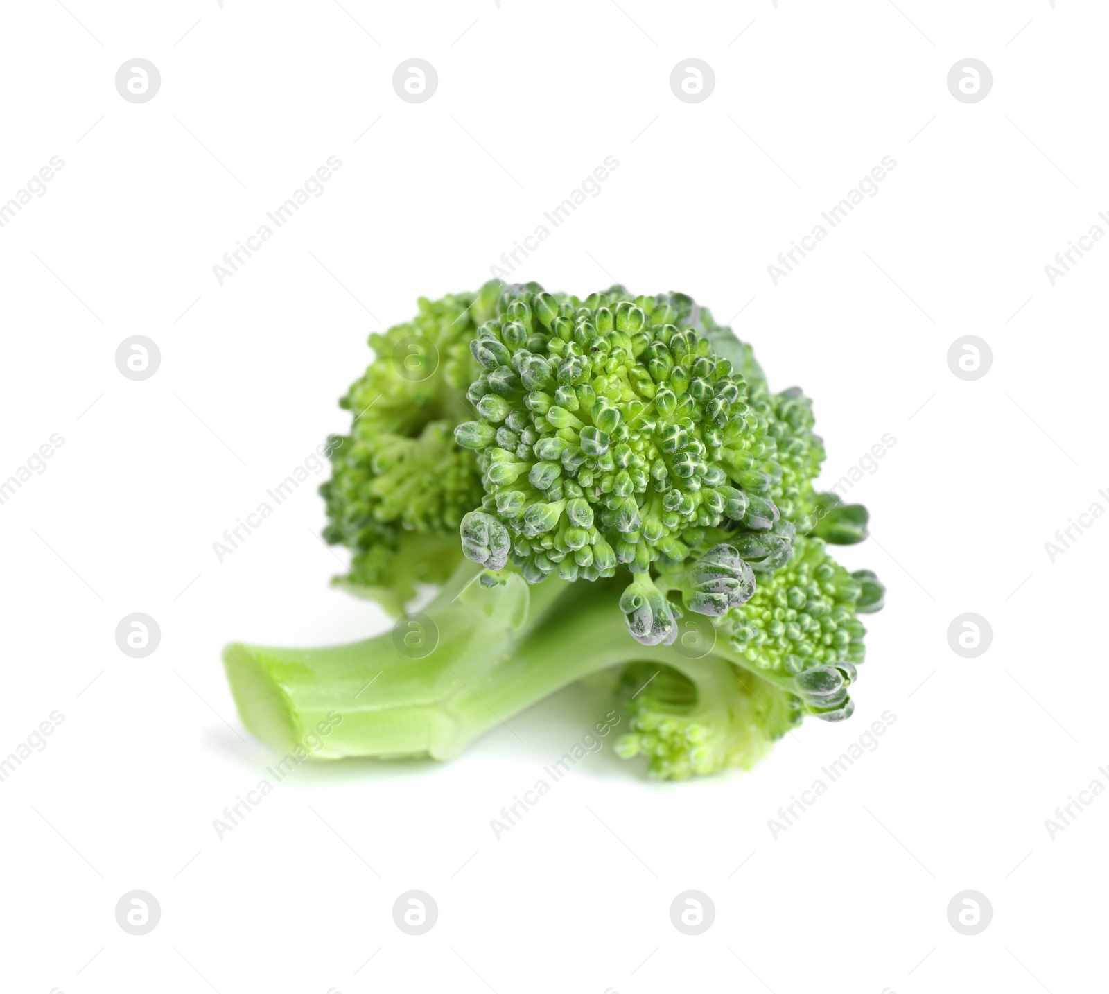 Fresh green raw broccoli on white background Photo of Fresh green raw broccoli on white background