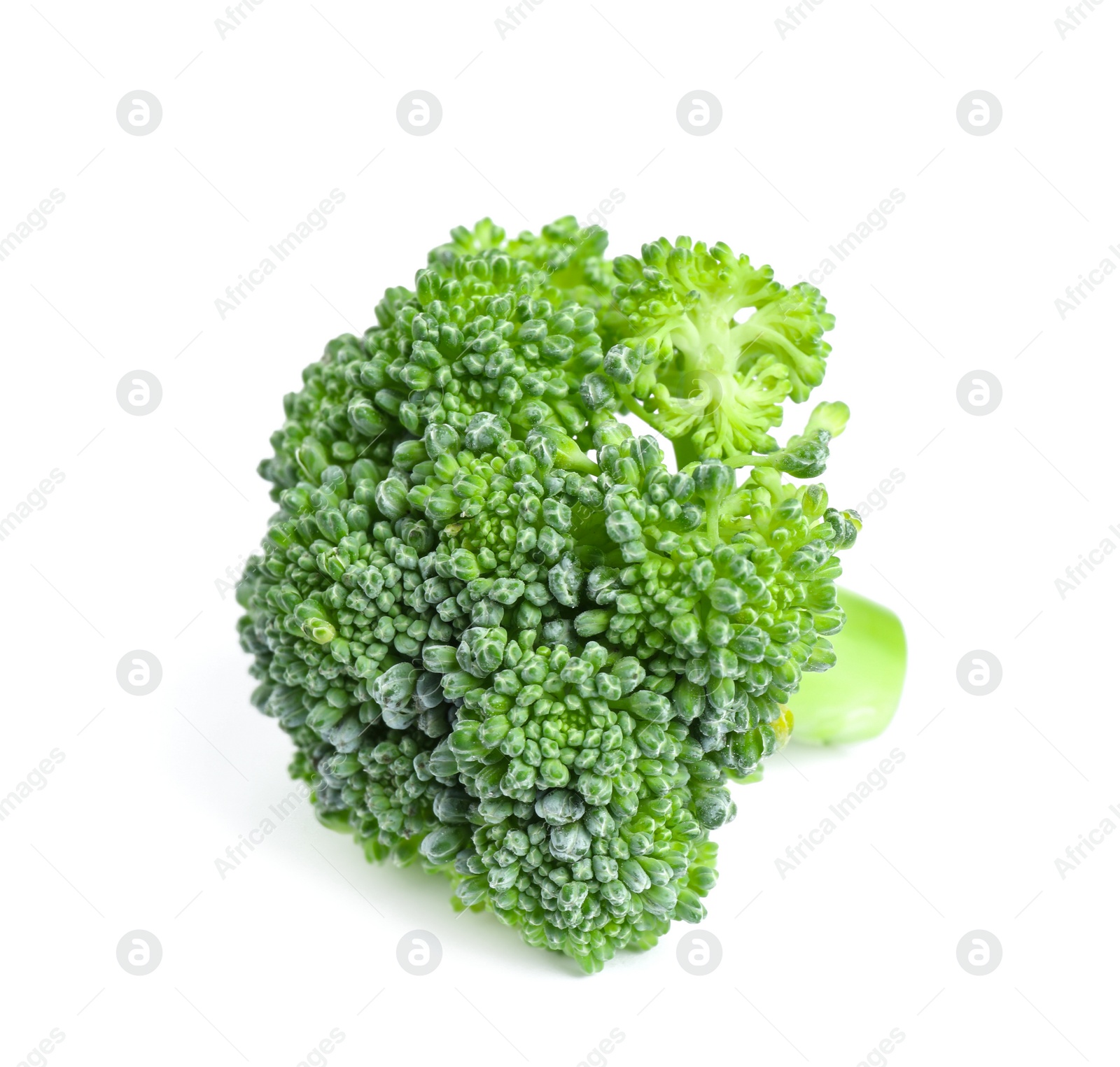 Fresh green raw broccoli on white background Photo of Fresh green raw broccoli on white background