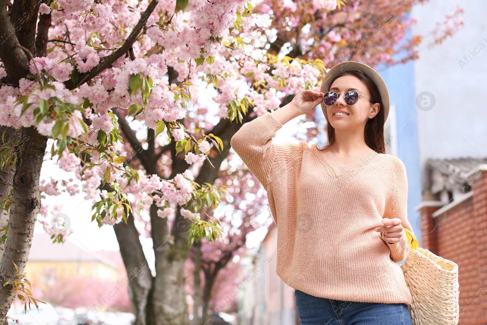 Happy stylish young woman near blossoming sakura tree outdoors. Spring look Photo of Happy stylish young woman near blossoming sakura tree outdoors. Spring look