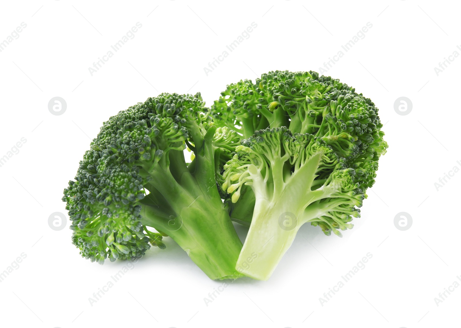 Fresh broccoli isolated on white. Edible green plant Photo of Fresh broccoli isolated on white. Edible green plant
