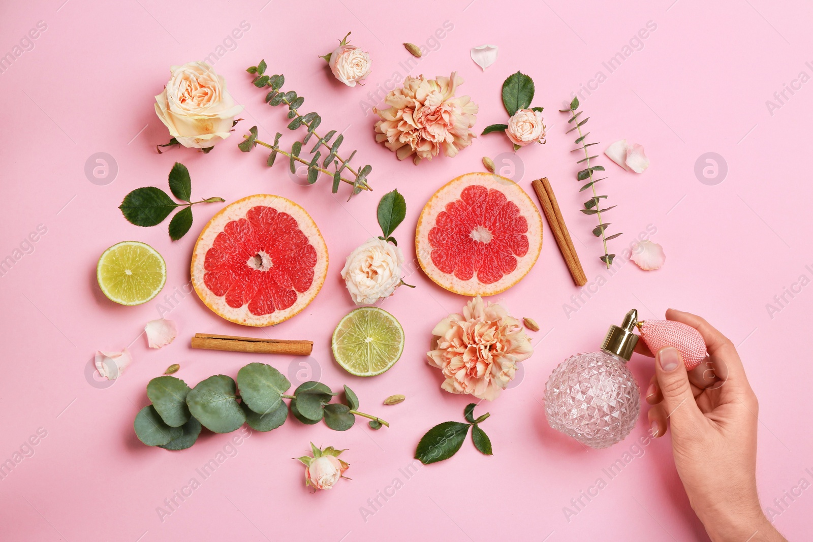 Top view of woman spraying perfume on pink background, flowers and citrus fruits representing aroma Photo of Top view of woman spraying perfume on pink background, flowers and citrus fruits representing aroma