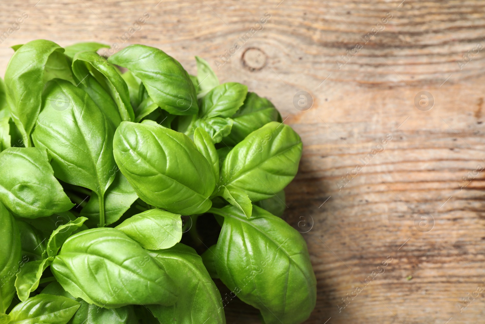 Fresh basil on wooden table, top view Photo of Fresh basil on wooden table, top view