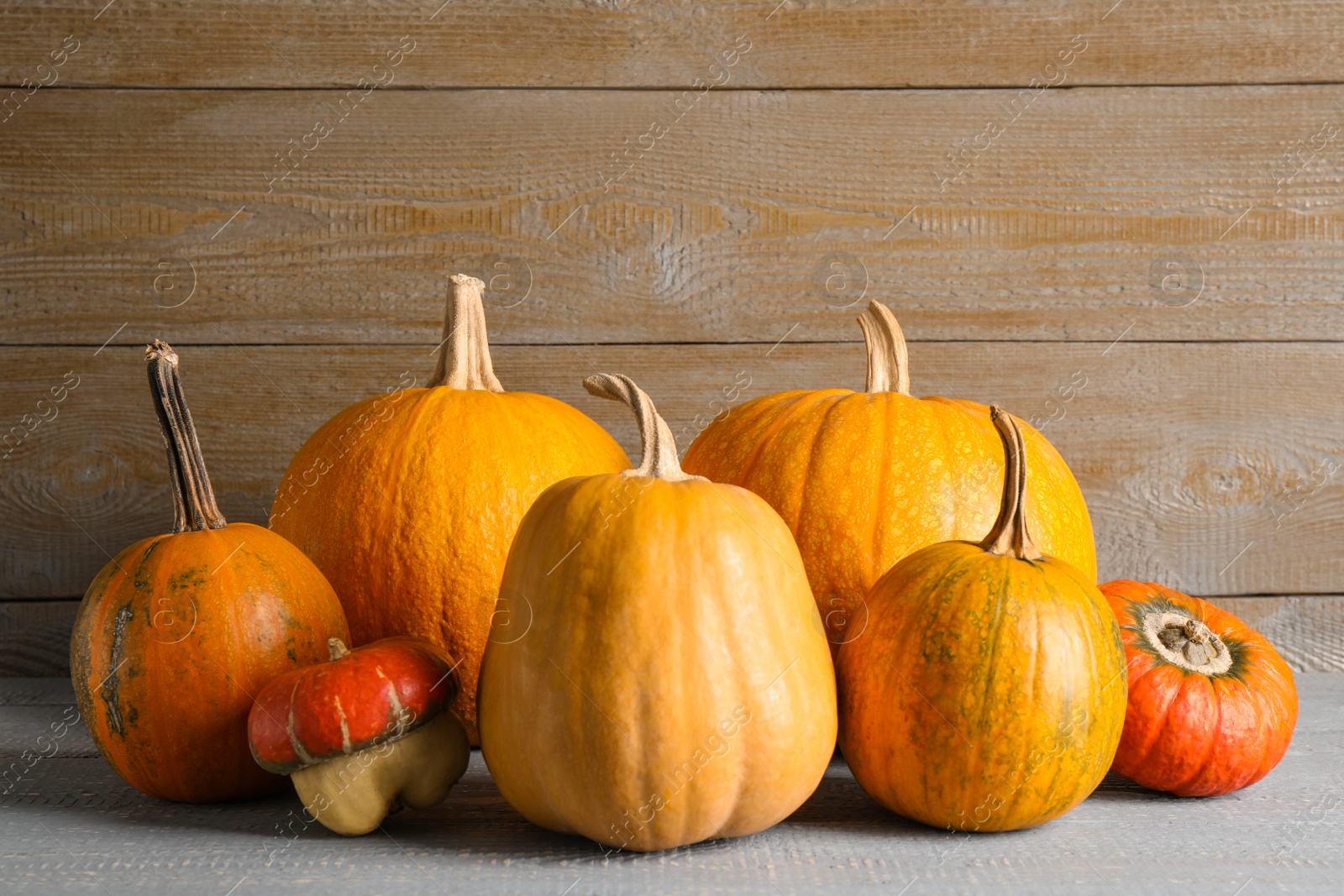 Many different ripe pumpkins on wooden table Photo of Many different ripe pumpkins on wooden table