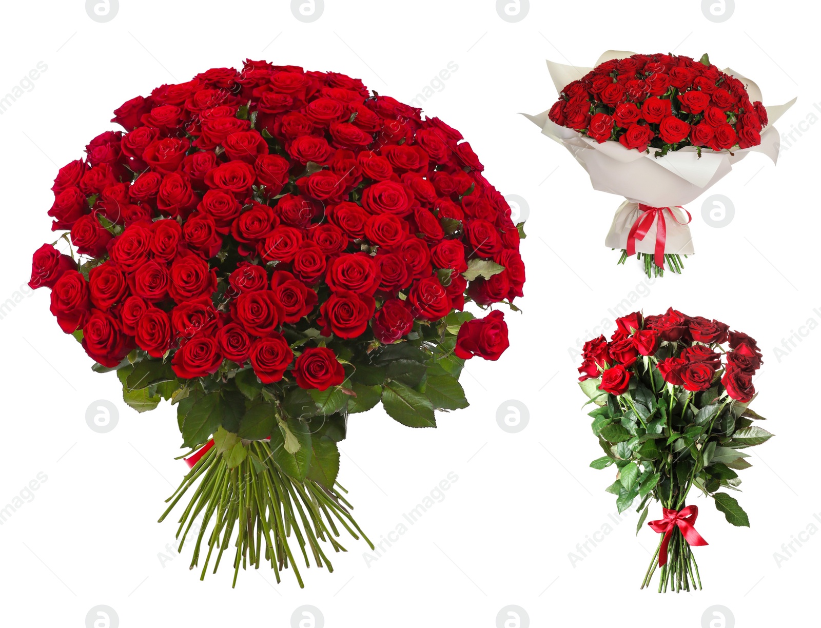 Set with beautiful bouquets of red roses on white background Image of Set with beautiful bouquets of red roses on white background