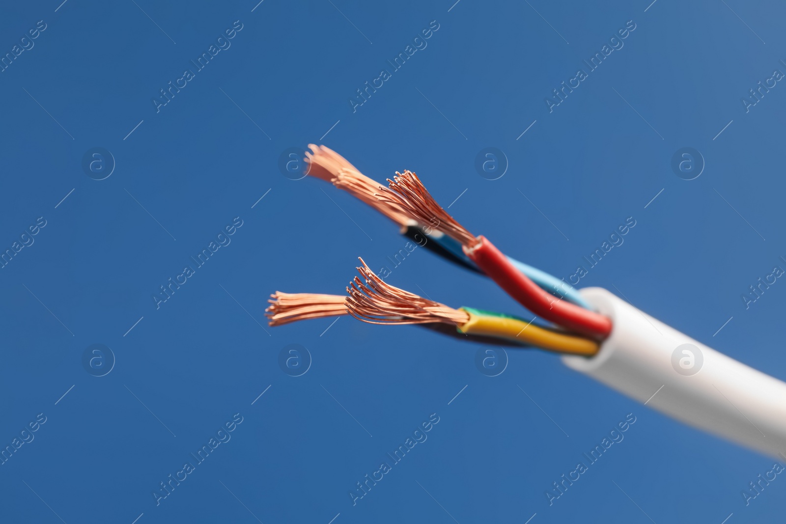 Cable with stripped wires on blue background, closeup Photo of Cable with stripped wires on blue background, closeup