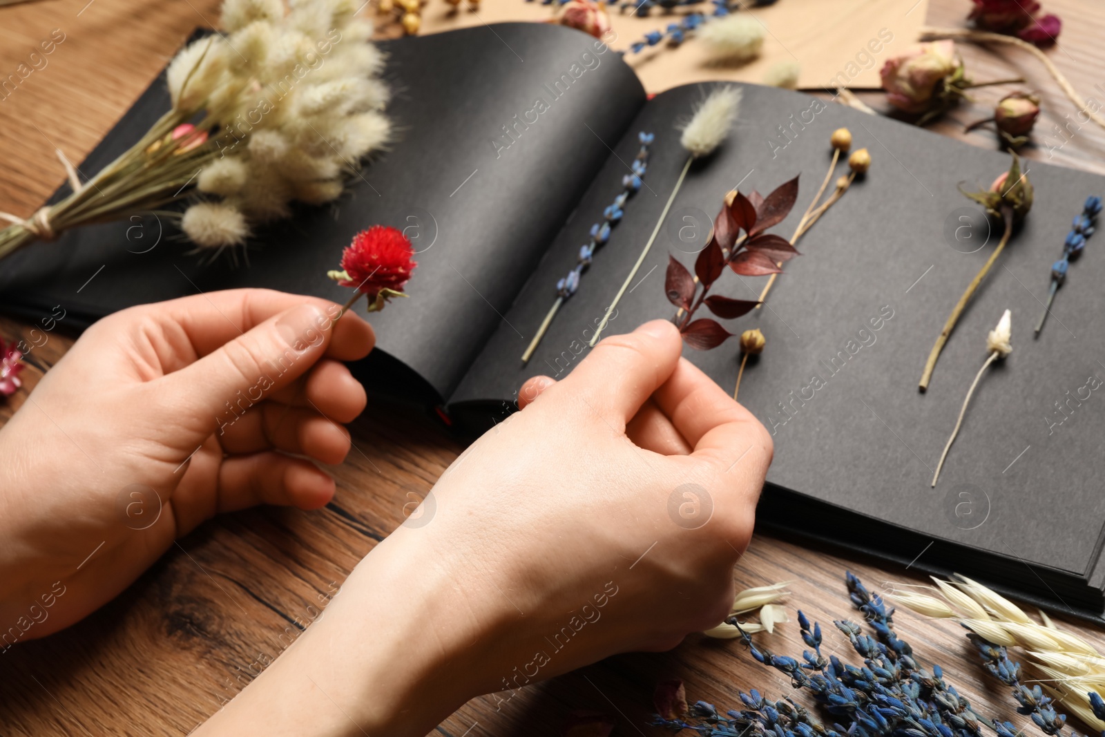 Woman making herbarium of dry flowers at wooden table, closeup Photo of Woman making herbarium of dry flowers at wooden table, closeup