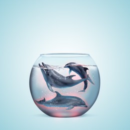 Dolphins in glass aquarium on light blue background. Anti-Captivity Campaign Image of Dolphins in glass aquarium on light blue background. Anti-Captivity Campaign