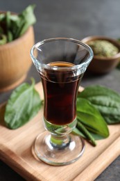 Glass of broadleaf plantain oil on wooden board Photo of Glass of broadleaf plantain oil on wooden board