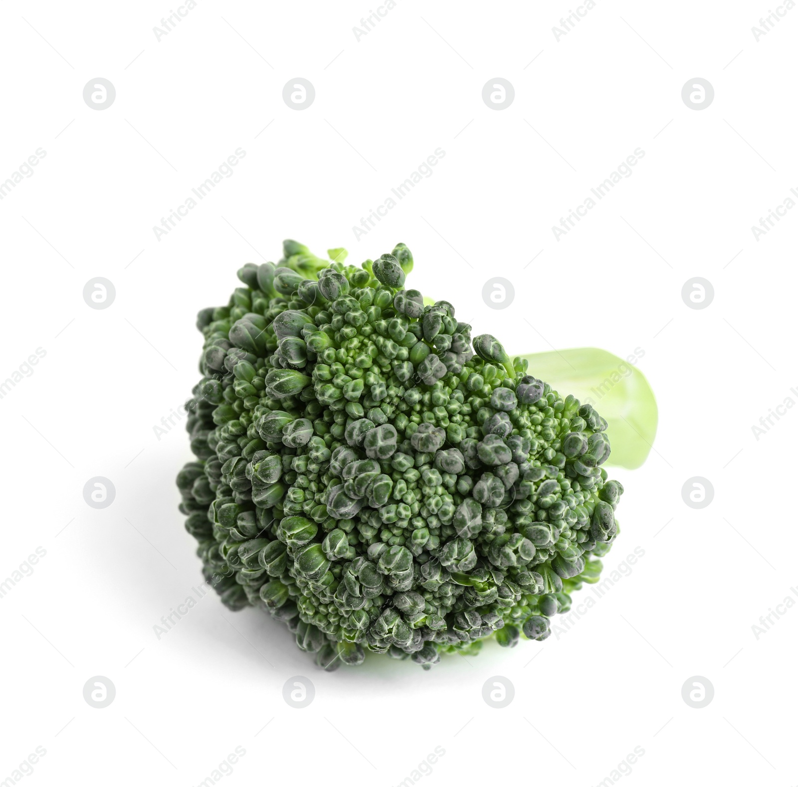 Fresh green raw broccoli on white background Photo of Fresh green raw broccoli on white background
