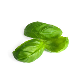 Fresh green basil leaves isolated on white Photo of Fresh green basil leaves isolated on white