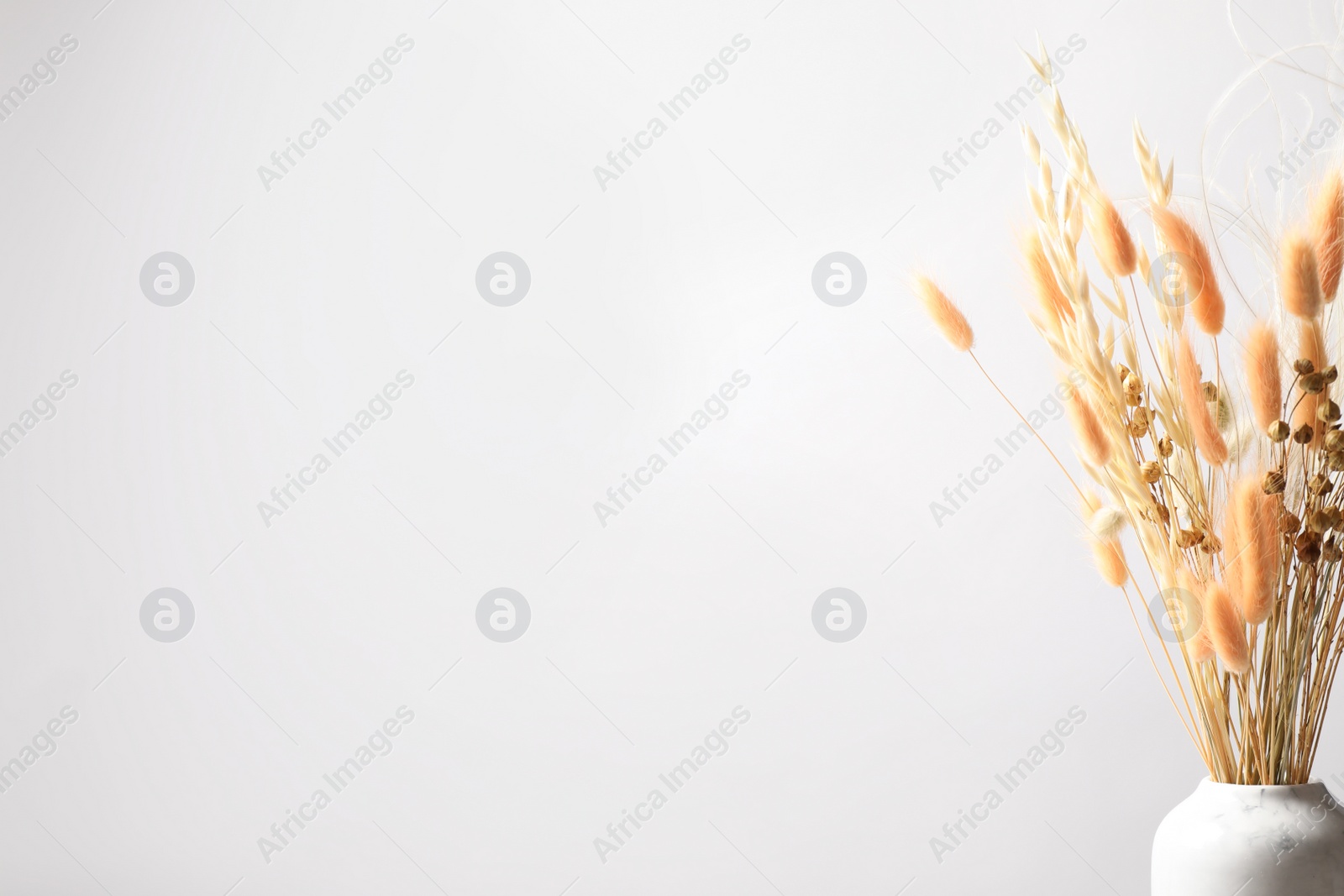 Dried flowers in vase against light background. Space for text Photo of Dried flowers in vase against light background. Space for text