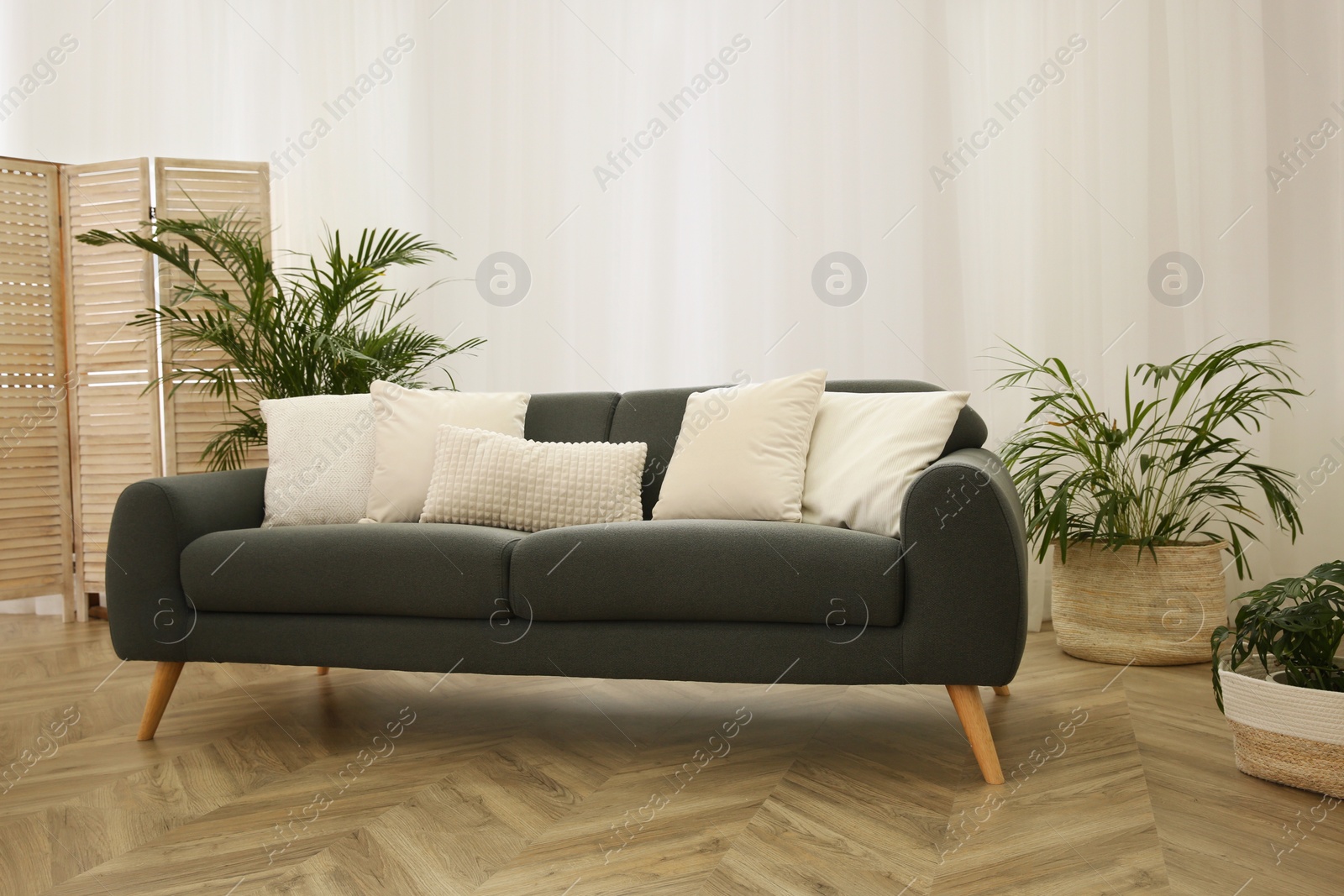Stylish living room interior with comfortable sofa Photo of Stylish living room interior with comfortable sofa