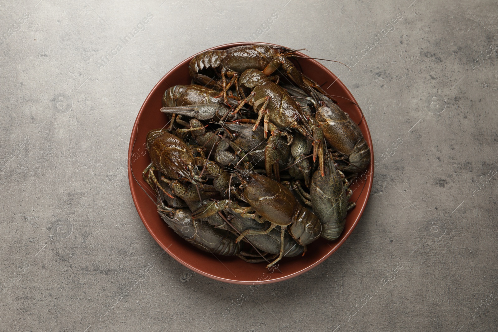 Fresh raw crayfishes in bowl on grey table, top view Photo of Fresh raw crayfishes in bowl on grey table, top view
