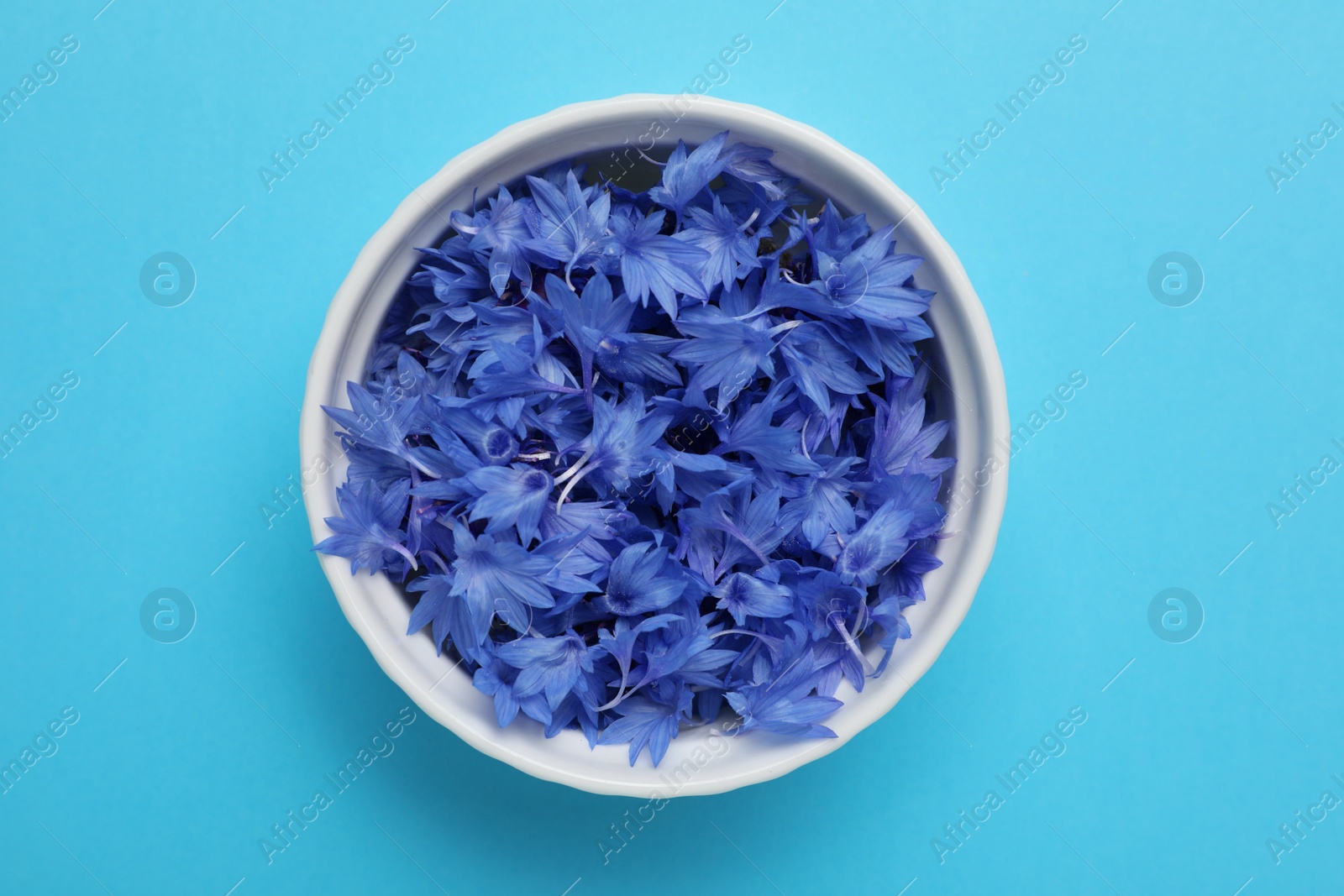 Beautiful bright cornflowers petals in bowl on light blue background, top view Photo of Beautiful bright cornflowers petals in bowl on light blue background, top view