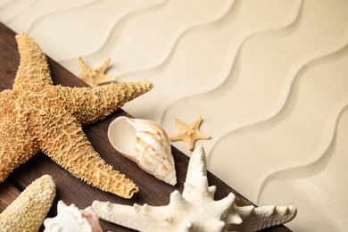 Beautiful sea stars and shells on sand, closeup. Space for text Photo of Beautiful sea stars and shells on sand, closeup. Space for text