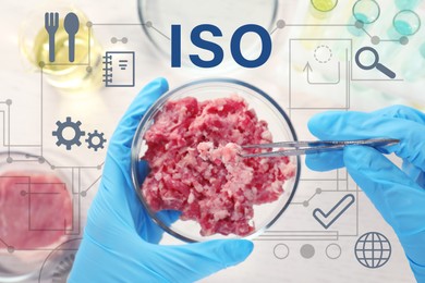 ISO 22000 - Food safety management. Scientist holding Petri dish with forcemeat over table, top view Image of ISO 22000 - Food safety management. Scientist holding Petri dish with forcemeat over table, top view
