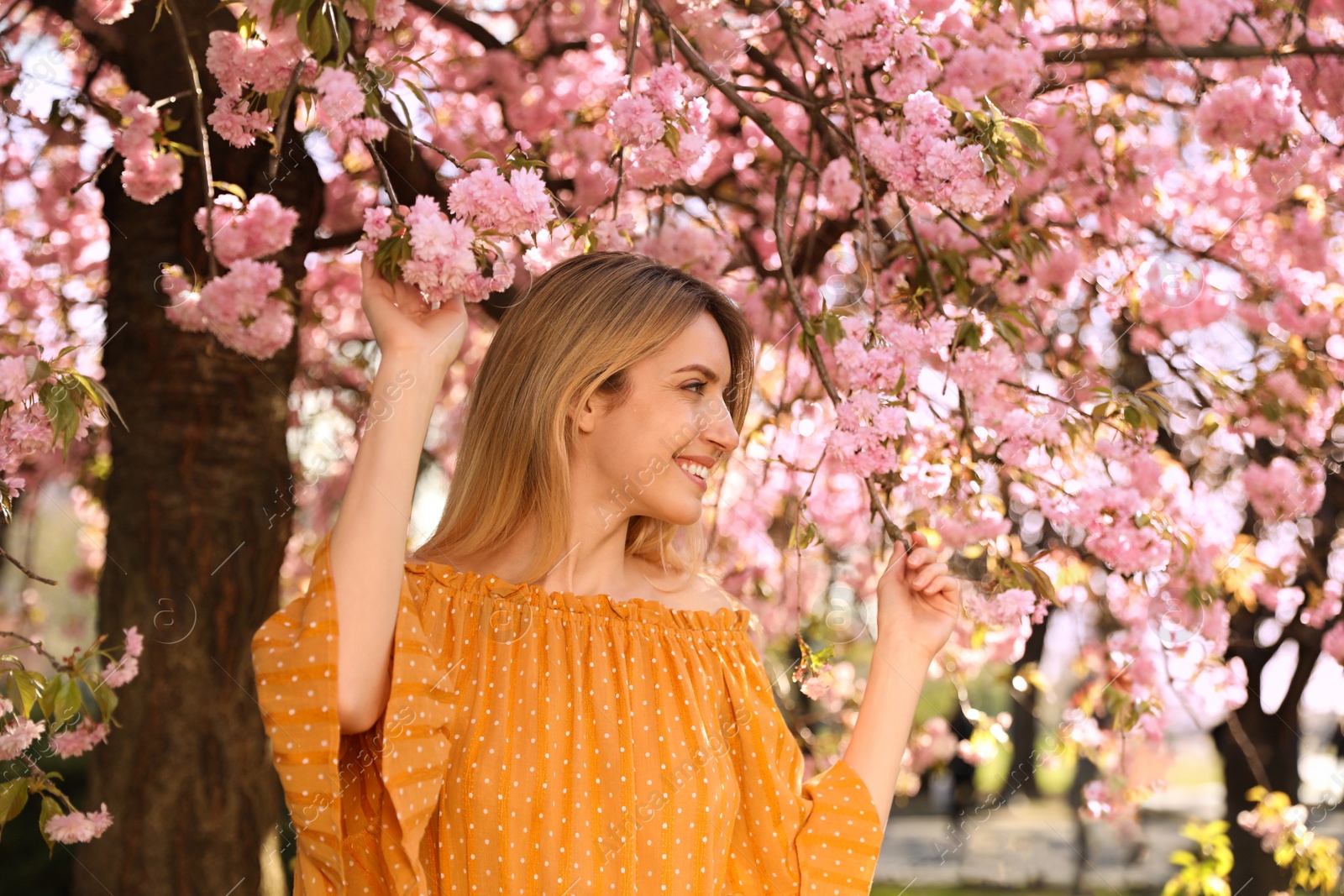 Young woman wearing stylish outfit near blossoming sakura in park. Fashionable spring look Photo of Young woman wearing stylish outfit near blossoming sakura in park. Fashionable spring look
