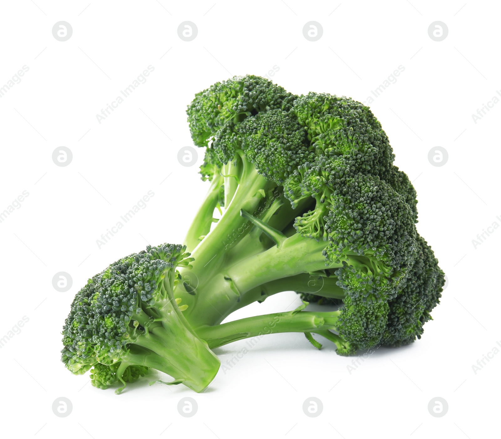 Fresh broccoli isolated on white. Edible green plant Photo of Fresh broccoli isolated on white. Edible green plant