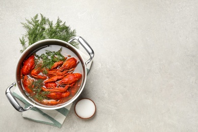 Fresh delicious crayfishes in pot on light grey table, flat lay. Space for text Photo of Fresh delicious crayfishes in pot on light grey table, flat lay. Space for text