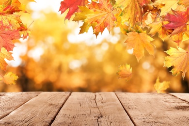 Empty wooden surface and beautiful autumn leaves on blurred background, space for text Image of Empty wooden surface and beautiful autumn leaves on blurred background, space for text