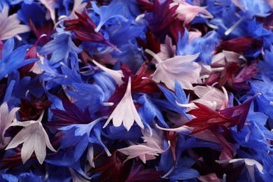 Beautiful colorful cornflowers petals as background, closeup view Photo of Beautiful colorful cornflowers petals as background, closeup view