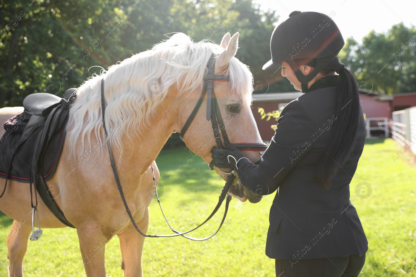 Young woman in horse riding suit and her beautiful pet outdoors on sunny day Photo of Young woman in horse riding suit and her beautiful pet outdoors on sunny day