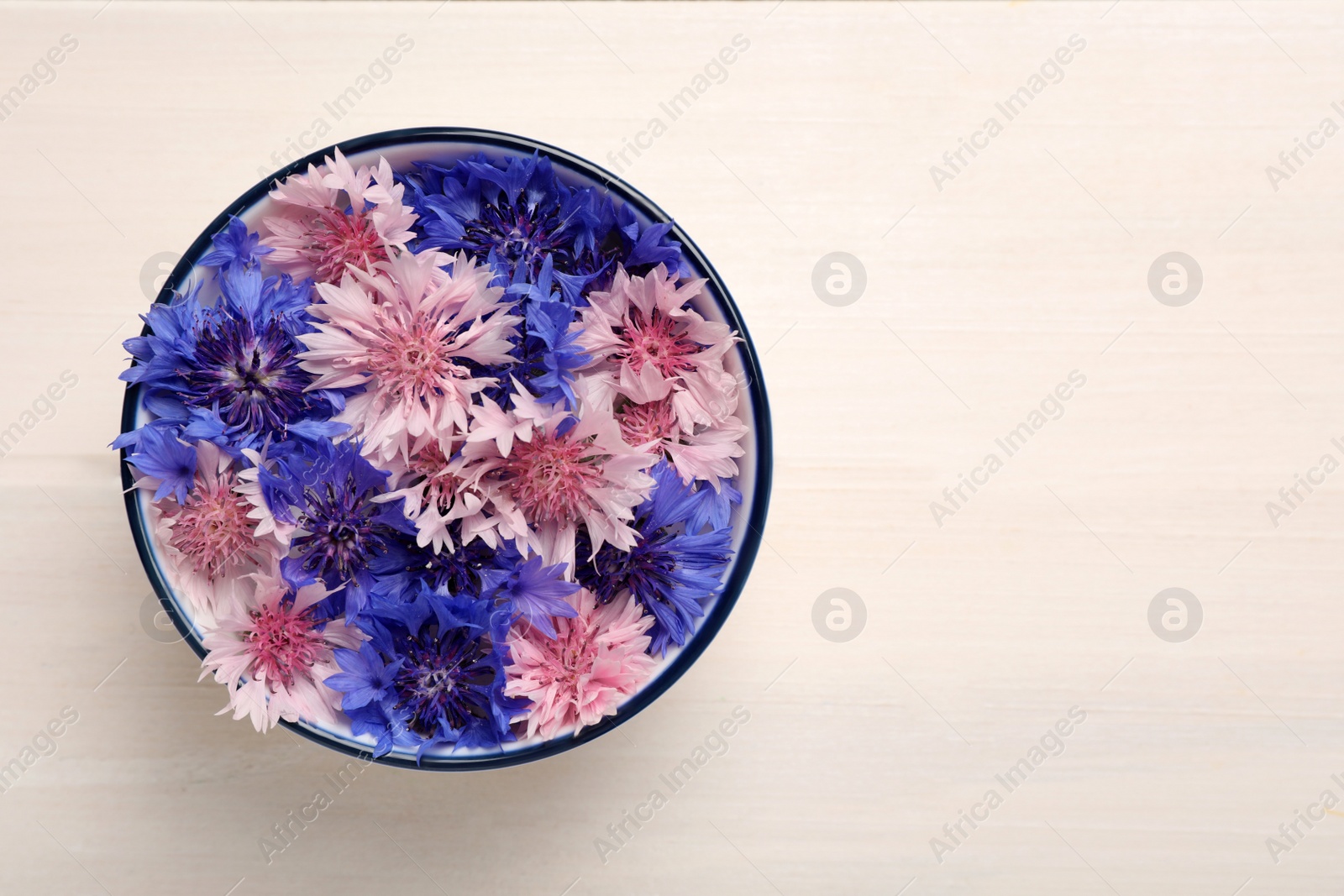 Beautiful colorful cornflowers in bowl on white wooden table, top view. Space for text Photo of Beautiful colorful cornflowers in bowl on white wooden table, top view. Space for text