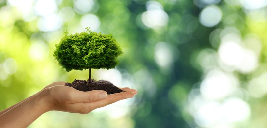 Woman holding pile of soil with small tree on blurred green background, closeup. Eco friendly lifestyle Image of Woman holding pile of soil with small tree on blurred green background, closeup. Eco friendly lifestyle