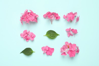 Beautiful hortensia flowers with leaves on turquoise background, flat lay Photo of Beautiful hortensia flowers with leaves on turquoise background, flat lay