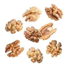 Halves of walnuts falling on white background Image of Halves of walnuts falling on white background