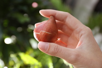 Woman holding tulip bulb on blurred background, closeup Photo of Woman holding tulip bulb on blurred background, closeup
