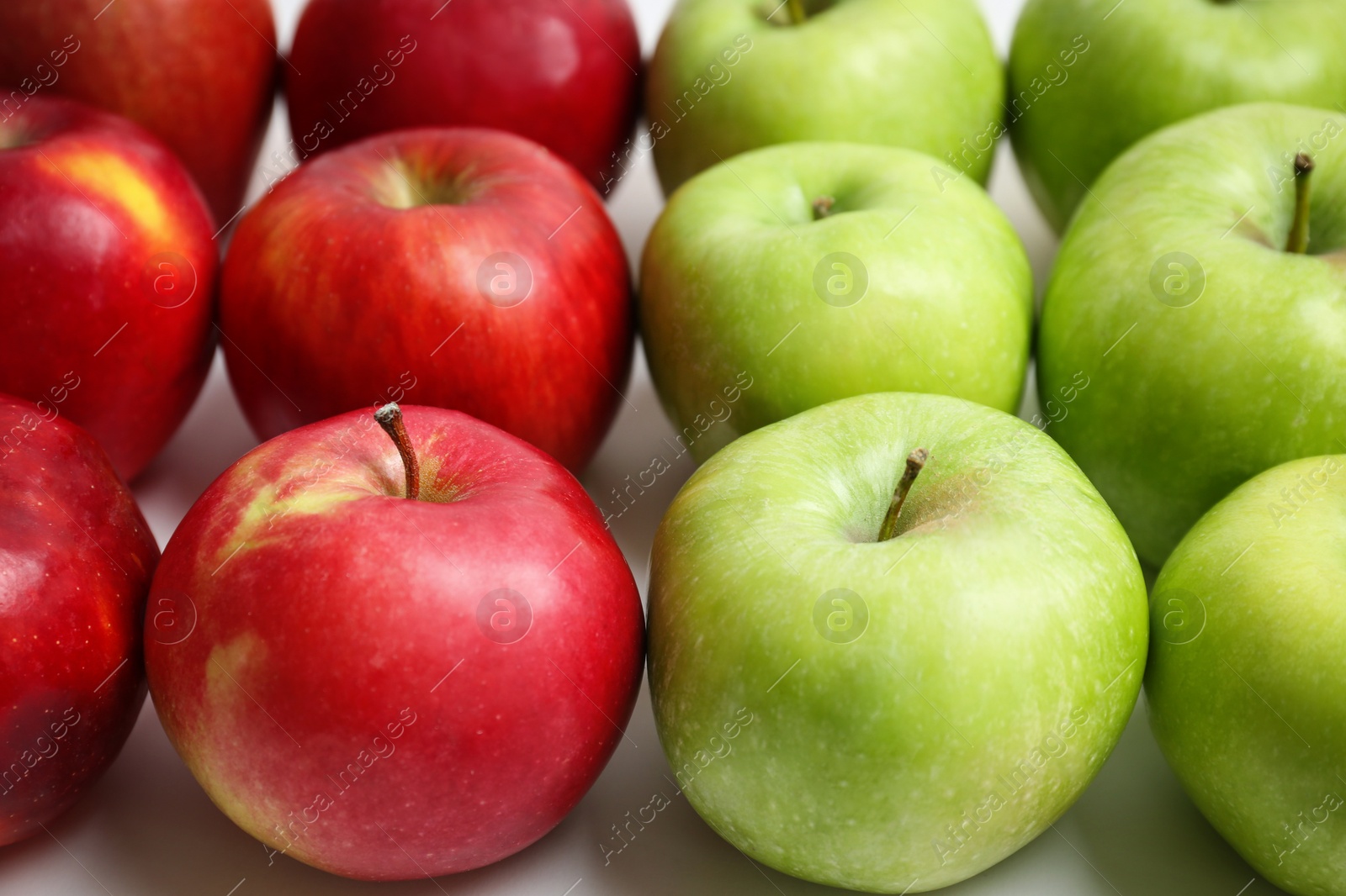 Fresh green and red apples on white background, closeup Photo of Fresh green and red apples on white background, closeup
