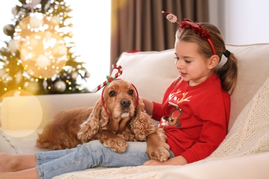 Cute little girl with English Cocker Spaniel in room decorated for Christmas Photo of Cute little girl with English Cocker Spaniel in room decorated for Christmas