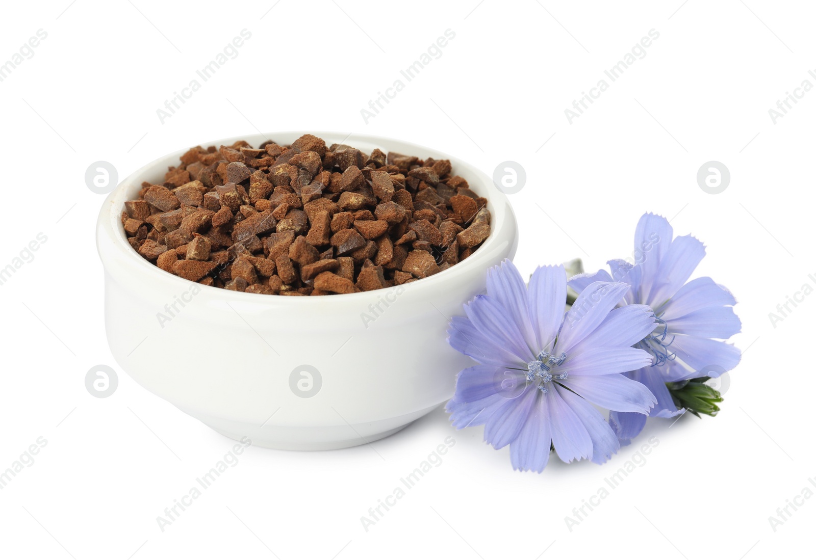 Bowl of chicory granules and flowers on white background Photo of Bowl of chicory granules and flowers on white background