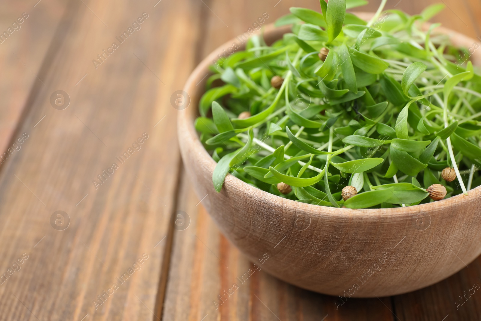 Bowl with fresh microgreen on wooden table, closeup. Space for text Photo of Bowl with fresh microgreen on wooden table, closeup. Space for text