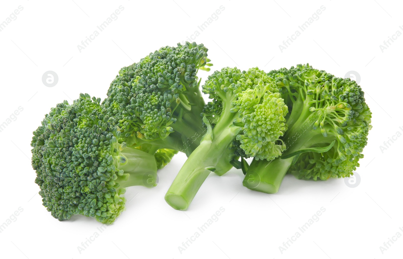 Fresh broccoli isolated on white. Edible green plant Photo of Fresh broccoli isolated on white. Edible green plant