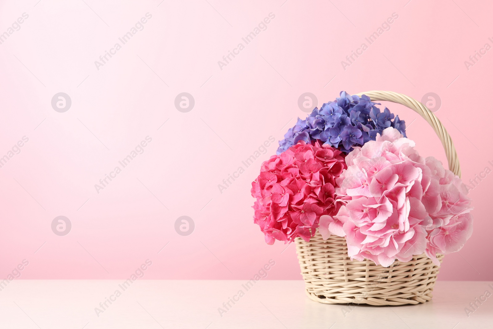 Bouquet with beautiful hortensia flowers in wicker basket on white wooden table. Space for text Photo of Bouquet with beautiful hortensia flowers in wicker basket on white wooden table. Space for text