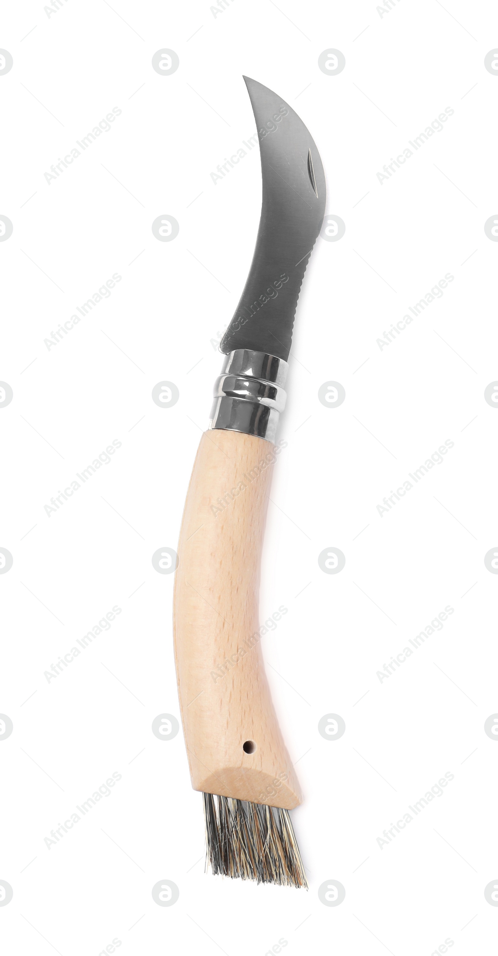 Mushroom knife with brush isolated on white, top view Photo of Mushroom knife with brush isolated on white, top view