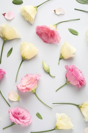 Photo of Beautiful Eustoma flowers on grey background, flat lay