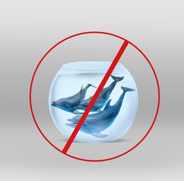 Dolphins in glass aquarium and red prohibition sign on light grey background. Anti-Captivity Campaign Image of Dolphins in glass aquarium and red prohibition sign on light grey background. Anti-Captivity Campaign
