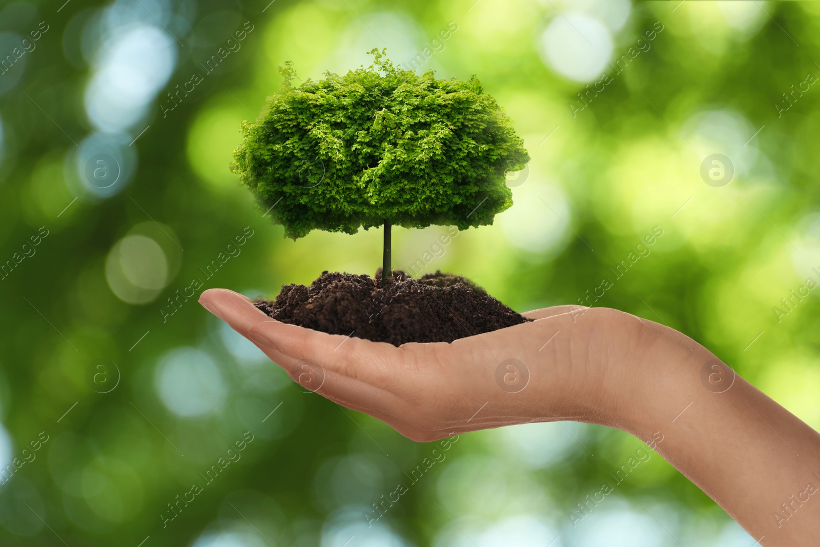 Woman holding pile of soil with small tree on blurred green background, closeup. Eco friendly lifestyle Image of Woman holding pile of soil with small tree on blurred green background, closeup. Eco friendly lifestyle