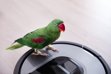 Modern robotic vacuum cleaner and Alexandrine parakeet on floor indoors Photo of Modern robotic vacuum cleaner and Alexandrine parakeet on floor indoors