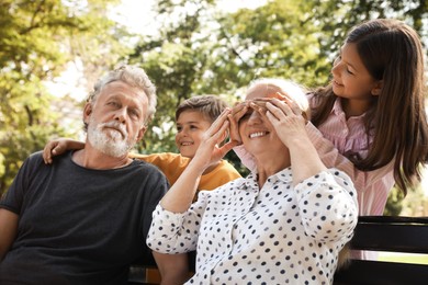 Happy grandparents with little children having fun together in park Photo of Happy grandparents with little children having fun together in park