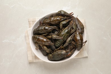 Fresh raw crayfishes on light grey table, top view Photo of Fresh raw crayfishes on light grey table, top view