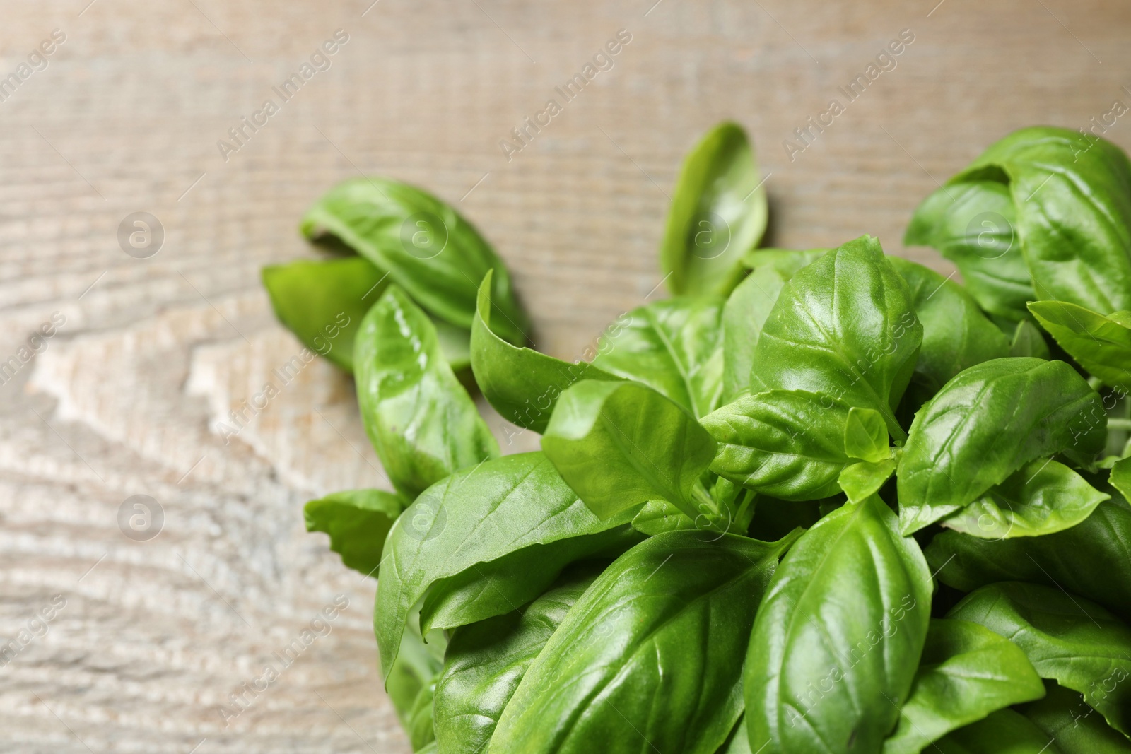 Photo of Fresh basil leaves on wooden table, closeup