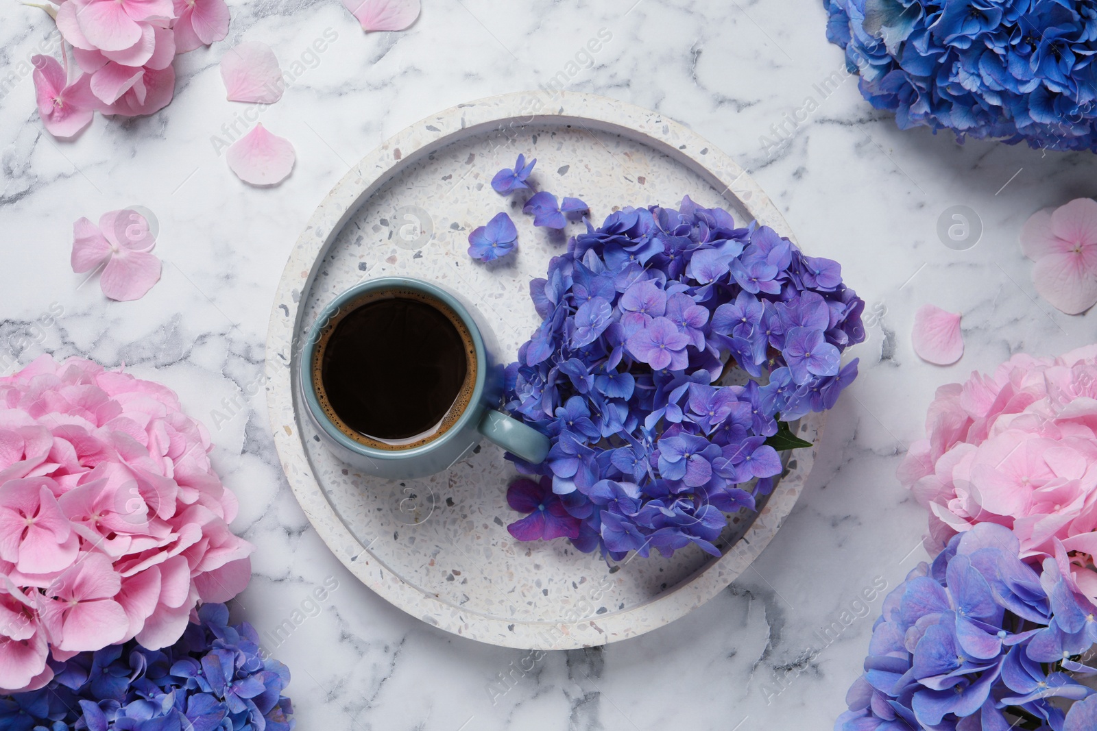 Beautiful hortensia flowers and coffee on white marble table, flat lay Photo of Beautiful hortensia flowers and coffee on white marble table, flat lay