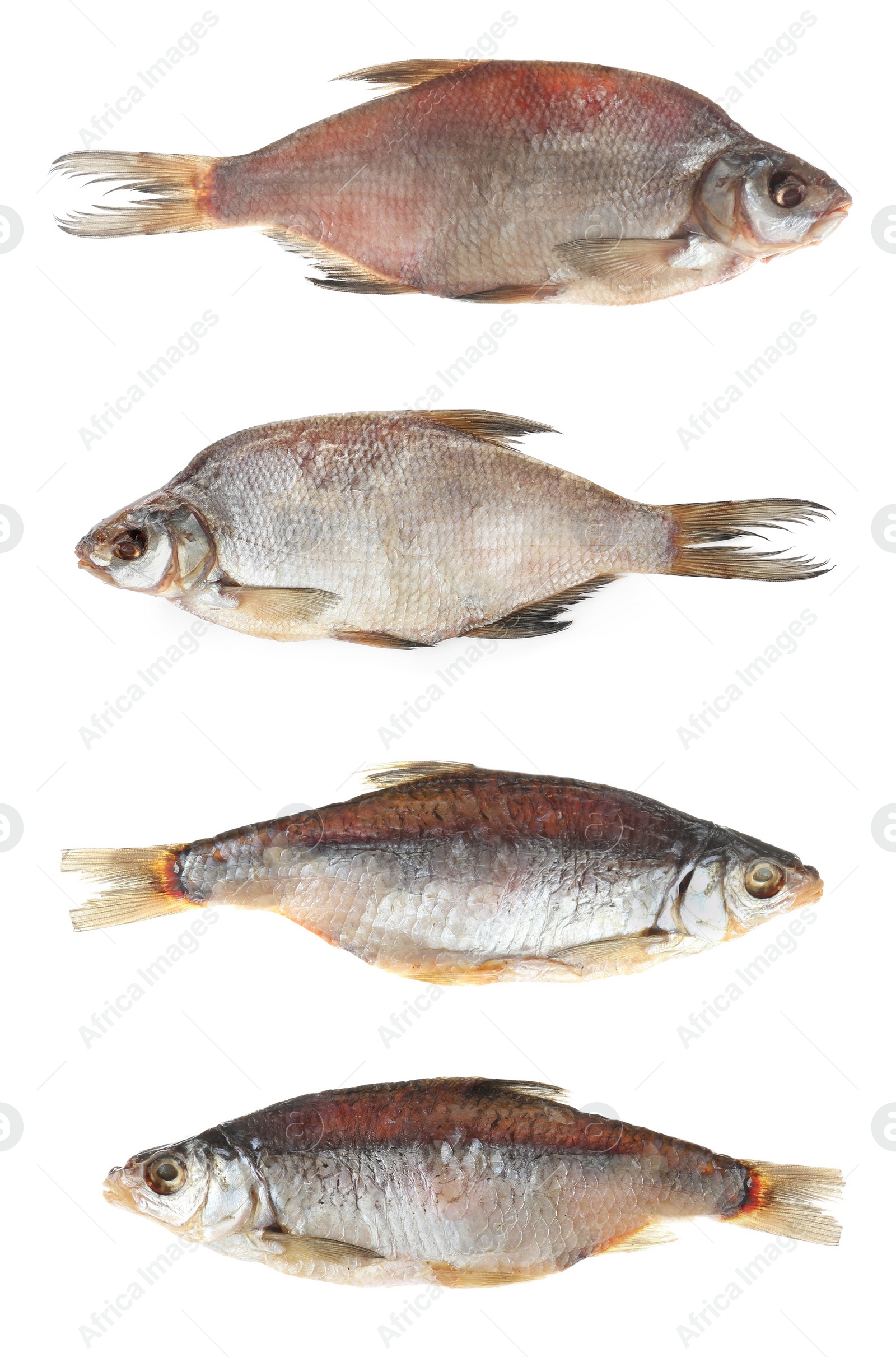 Image of Set of tasty dry fish on white background