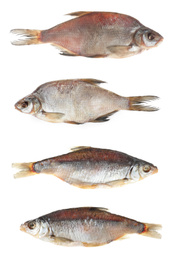 Set of tasty dry fish on white background Image of Set of tasty dry fish on white background