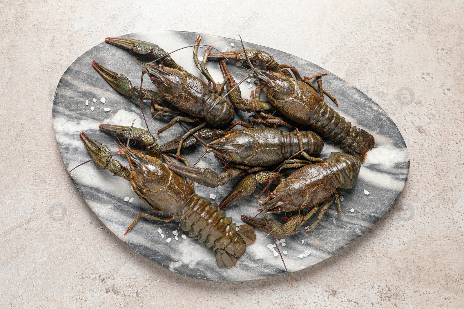 Photo of Fresh raw crayfishes with salt on light grey table, top view